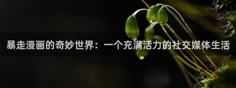虫虫动漫漫画：暴走漫画的奇妙世界：一个充满活力的社交媒体生活
