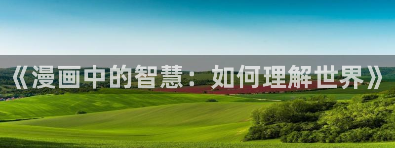 虫虫漫画最新版：《漫画中的智慧：如何理解世界》
